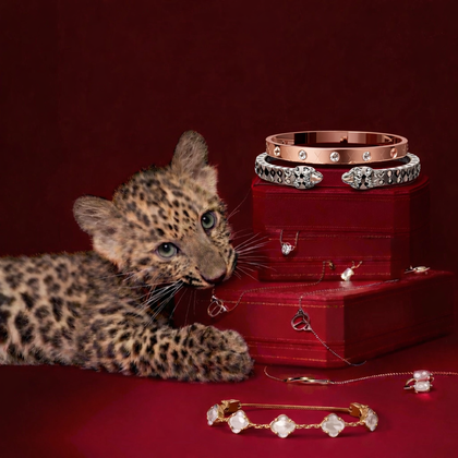 Exclusive Jewelry Selection